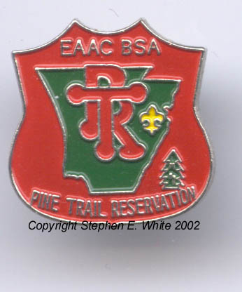 1991 Pin