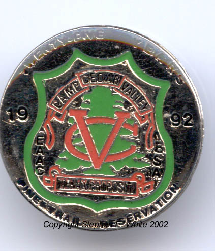1992 Pin