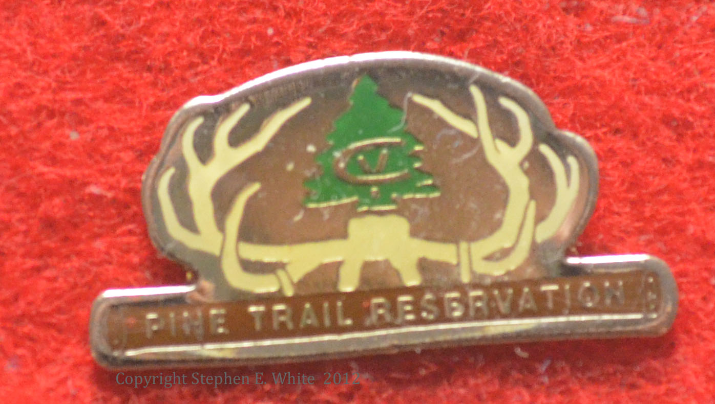 1994 Pin