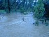 DSCN0042.jpg