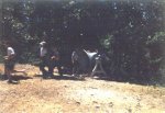 61-00879.jpg
