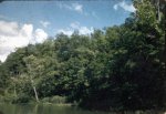 61-00934.jpg