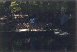 61-00941.jpg