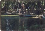 61-00947.jpg