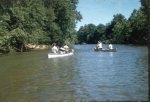 61-00959.jpg