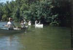 61-00970.jpg