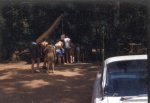 62-00896.jpg