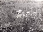 XX-01972.jpg