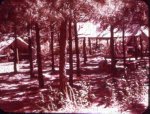 69-01943.jpg