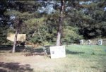 82-01148.jpg